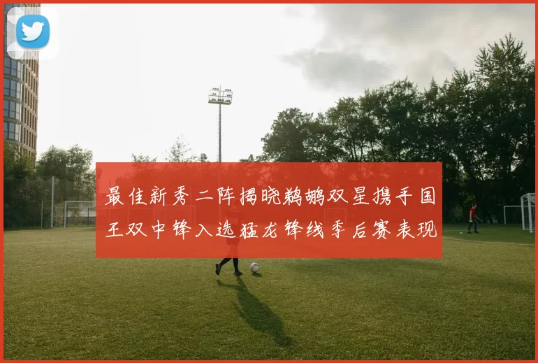 最佳新秀二阵揭晓鹈鹕双星携手国王双中锋入选猛龙锋线季后赛表现抢眼